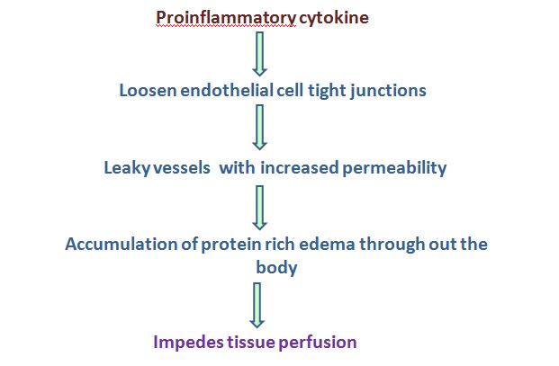 shock is the result of hypoperfusion to the cells of the body