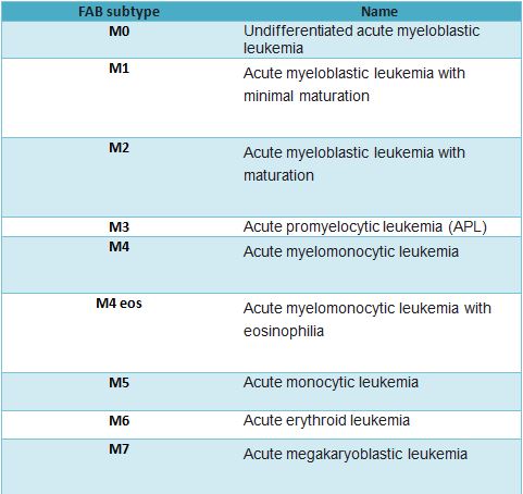 Table 1. The French-American-British (FAB) classification of AML ...